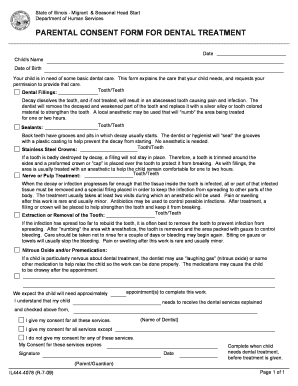 Consent Form Template