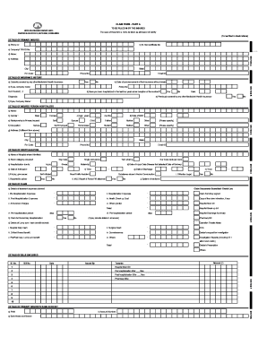 United Claim Form PDF