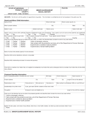 Minor Guardianship Social History  Form