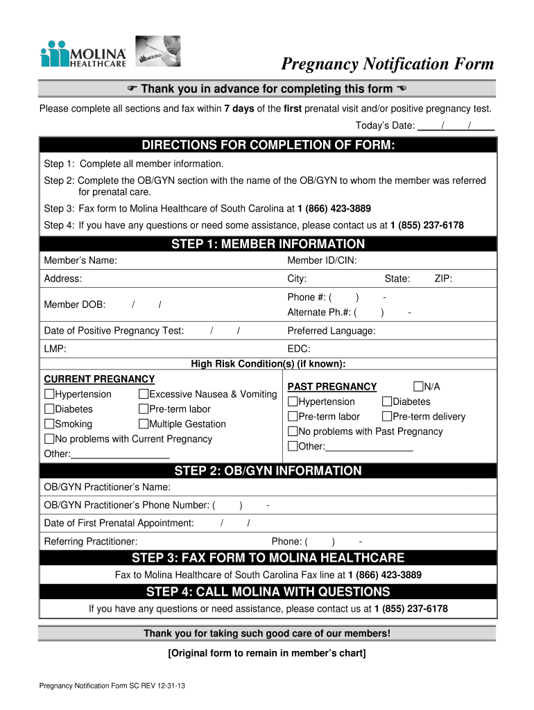 Pregnancy Test Report Sample Pdf Fill Out And Sign Printable Pdf Template Signnow