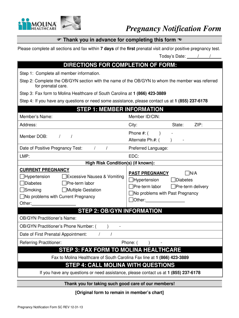 Fillable Positive Pregnancy Test Paperwork Form