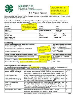 4h Project Report Form