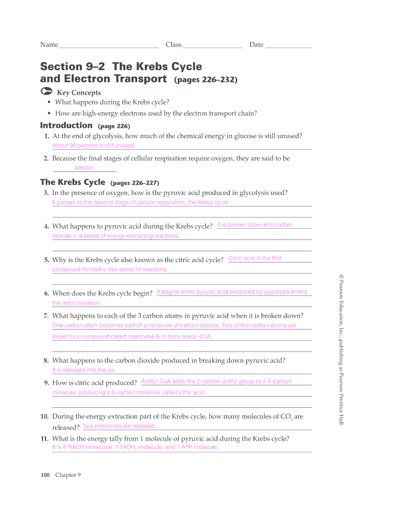 Section 9 2 the Krebs Cycle Answers  Form