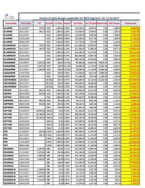 Mcx Lot Size PDF  Form