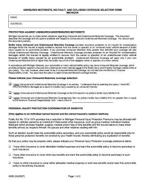 Michigan Pip Form