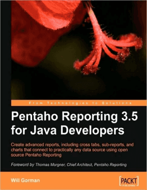 Pentaho Reporting 3 5 for Java Developers PDF Eee Google  Form