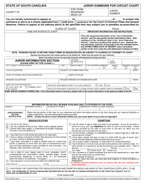 STATE of SOUTH CAROLINA Sccourts Org  Form