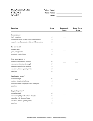 Scandinavian Stroke Scale PDF  Form