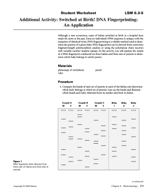 Switched at Birth Dna Fingerprinting Answer Key  Form