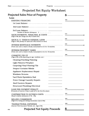 Equity Worksheet  Form