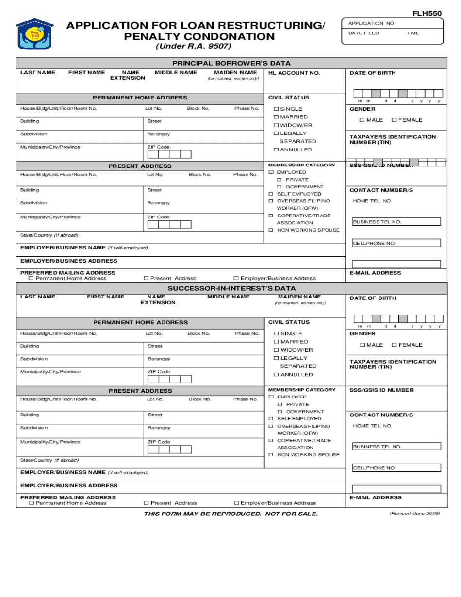 Hl Restructuring  Form