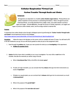 Rate of Respiration Virtual Lab Answer Key  Form