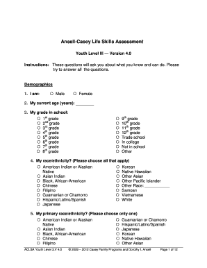 Casey Life Skills Assessment PDF  Form