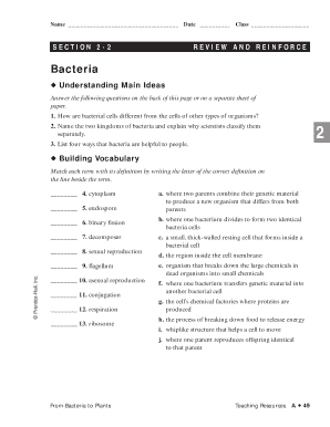 Reinforcement Bacteria Answer Key  Form