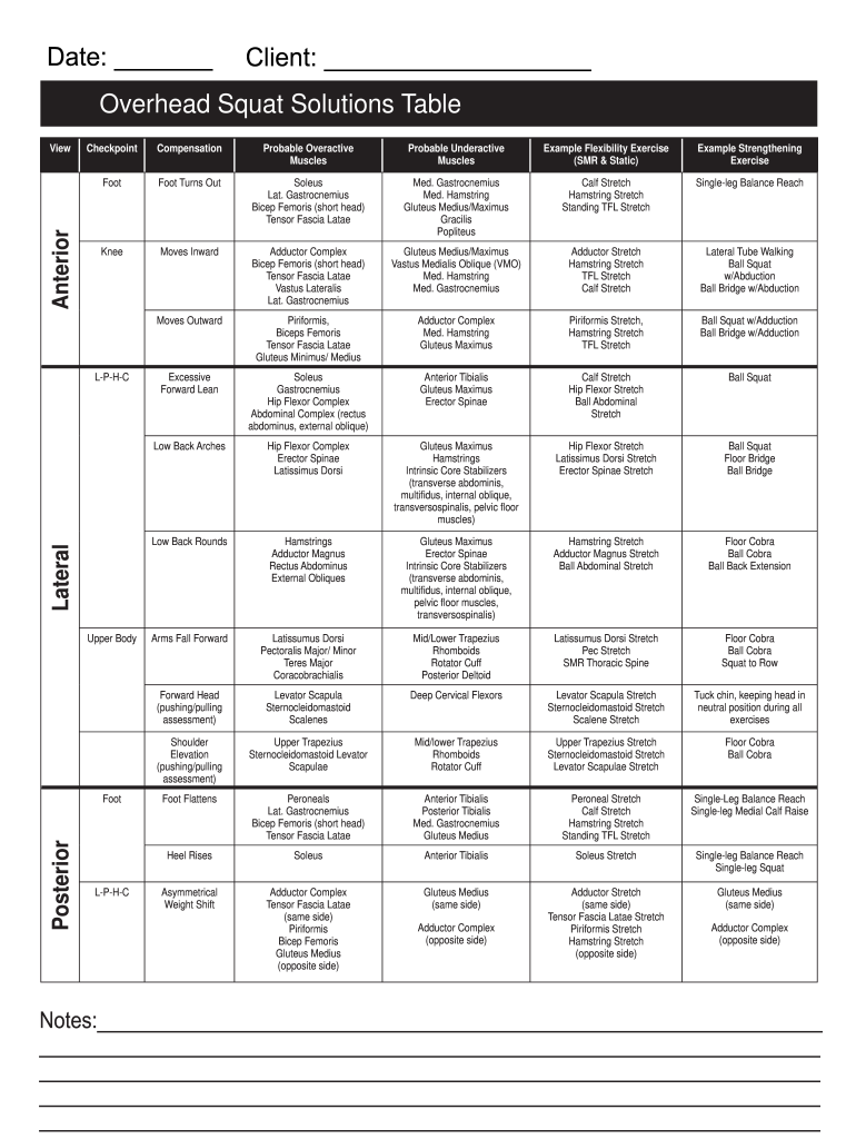 Nasm Overhead Squat Solutions Table  Form