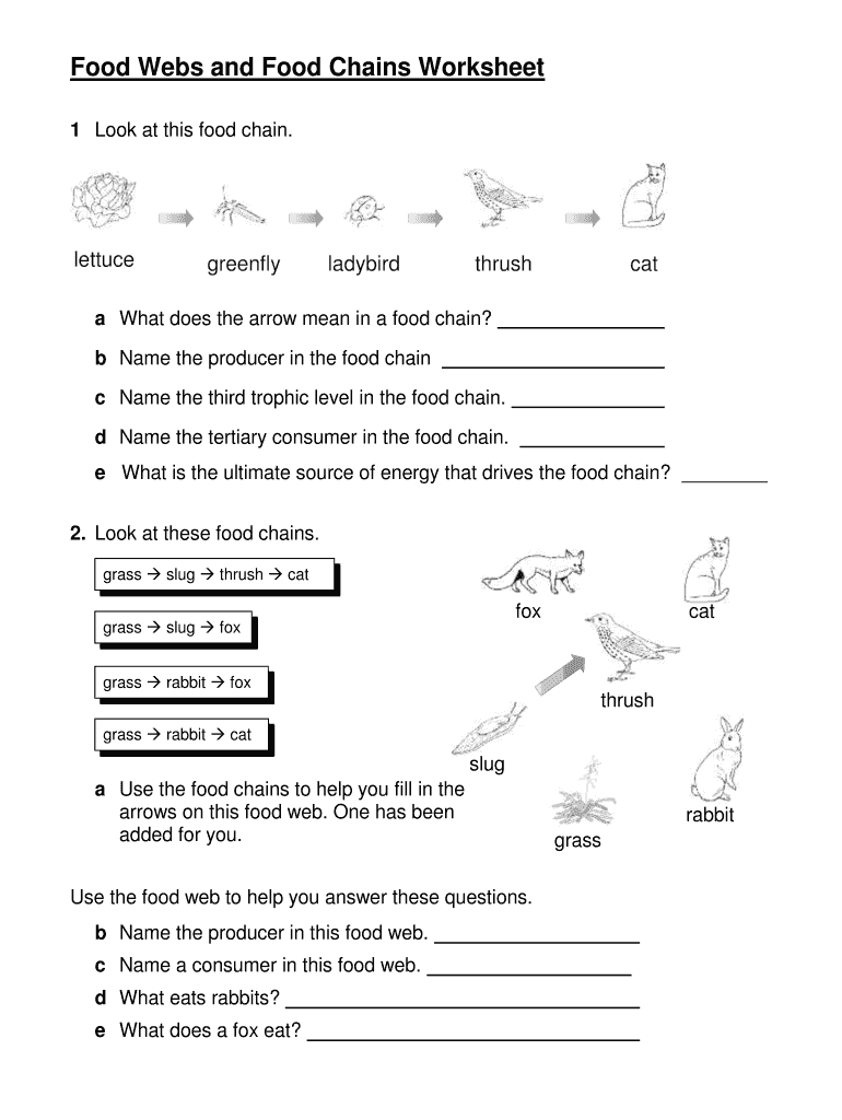 Food Webs and Food Chains Worksheet  Form