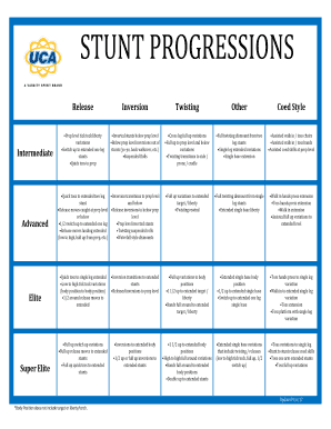 Stunt Progression Chart  Form