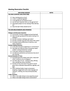 Meeting Observation Examples  Form