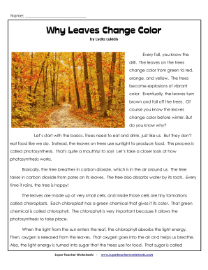 Why Leaves Change Color Answer Key  Form