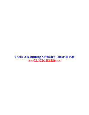 Focus Accounting Software User Manual PDF  Form