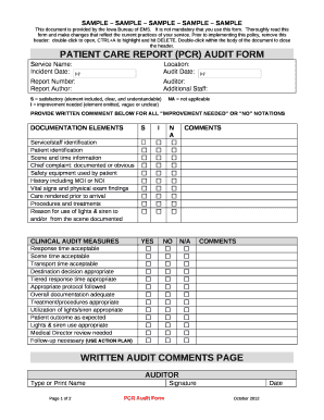 Patient Care Report Template Word  Form