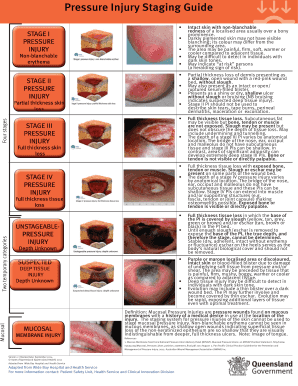 Pressure Injury Staging Guide  Form