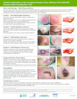 Epuap Pressure Ulcer Grading Chart  Form