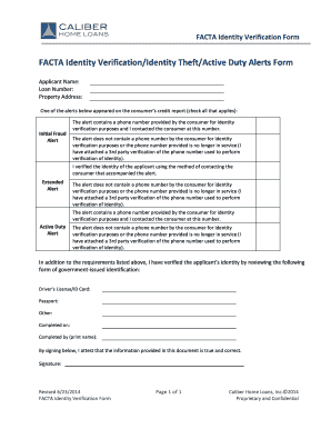 Delta Identity Verification Form