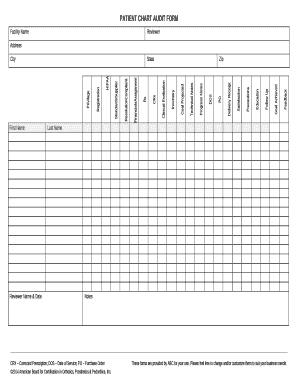 Chart Audit Excel Template  Form