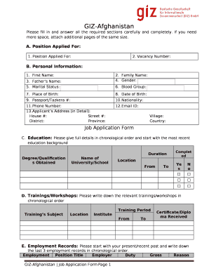 Giz Cv Format