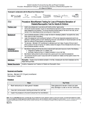 Monofilament Test Documentation  Form