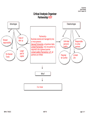 Critical Analysis Organizer Sole Proprietorship  Form