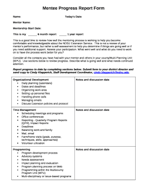 Mentor Mentee Report Sample  Form