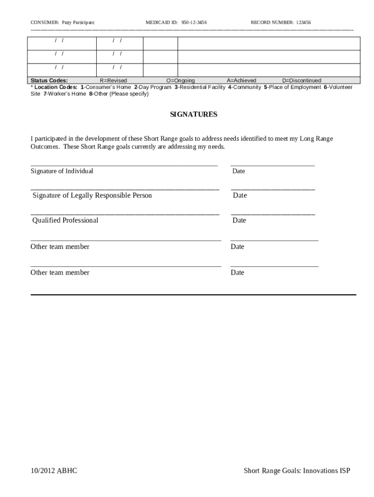 Individual Support Plan Examples  Form