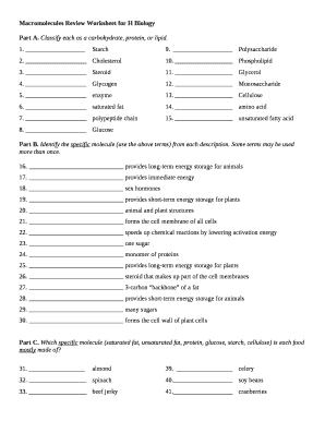 Macromolecules Review Worksheet  Form