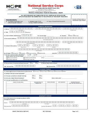 Nys Application Form