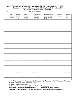 Pressure Ulcer Audit Form