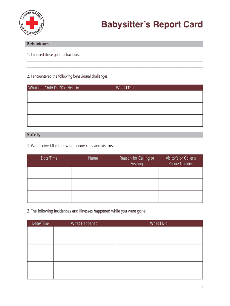 Babysitters Report  Form