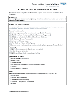 Clinical Audit Proposal Example  Form