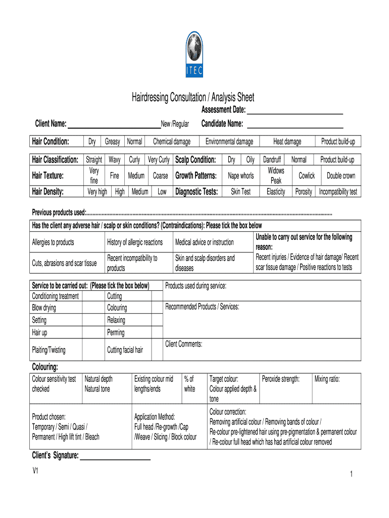  Hairdressing Consultation Analysis Sheet 2017