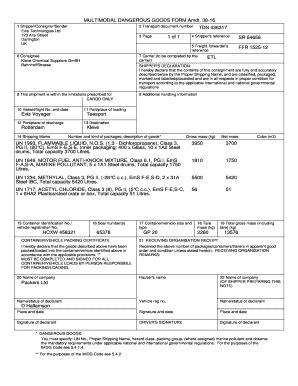 Multimodal Dangerous Goods Form Example