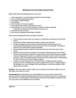  Ionic Foot Detox Form 2016