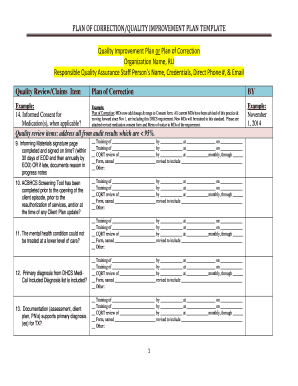 Plan of Correction Template  Form