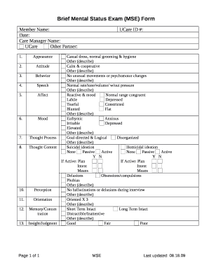 Mse Template  Form