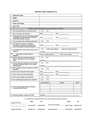 Situation Report Template Word  Form