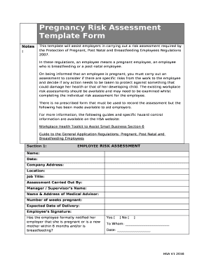  Pregnancy Risk Assessment Template 2016-2024