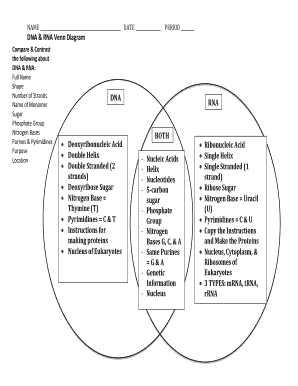 Dna and Rna Venn Diagram  Form