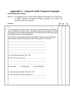 Audit Program Template Word  Form