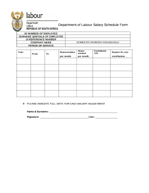 Department of labour salary schedule form