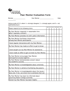 Mentor Evaluation Template Word  Form